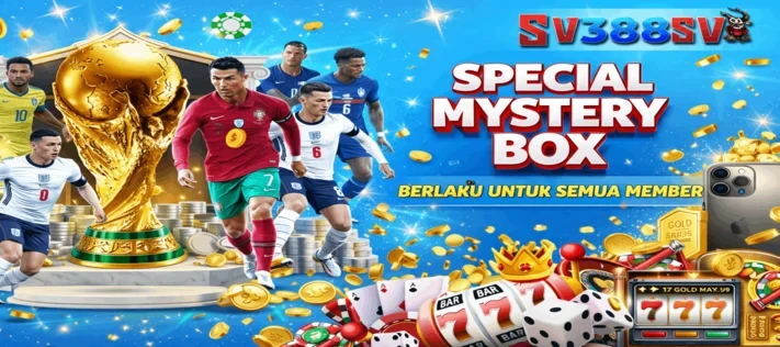 SPECIAL MYSTERY BOX